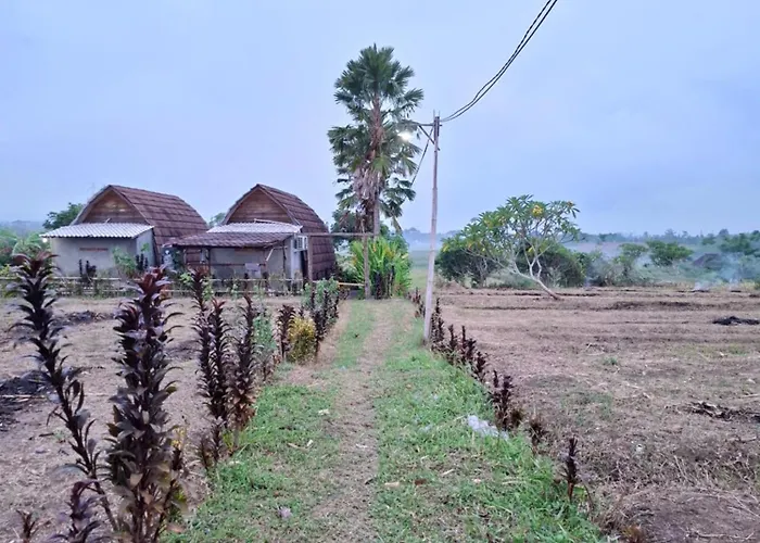 Medewi Lumbung Surf & *